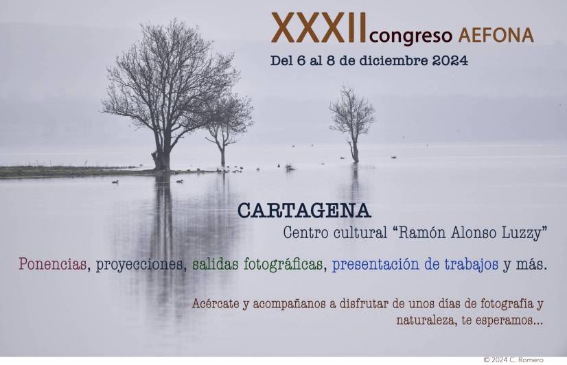 Cartel XXXII Congreso_2